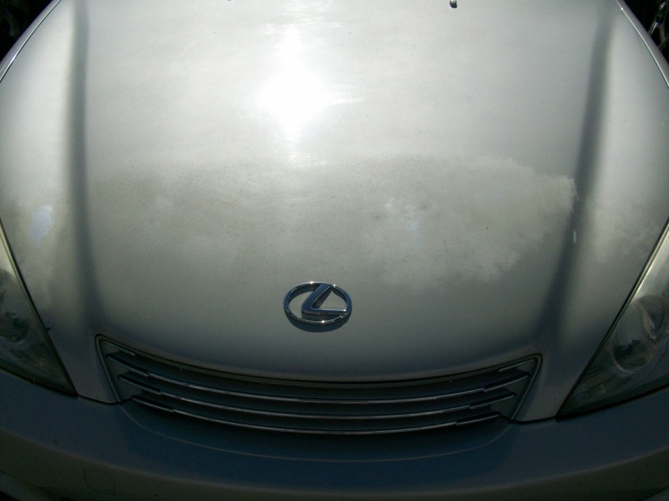 Lexus Body Shop Before and After Photo